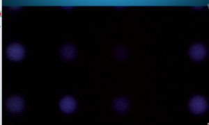 Skype 2013-11-10 02-38-50